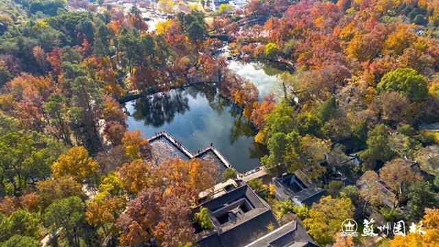 巅峰观赏期已至！中国四大赏枫胜地首次联动直播