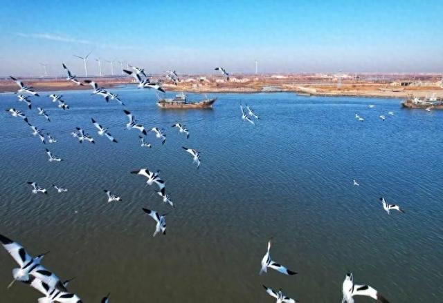 冬天，遇见不一样的潍坊！