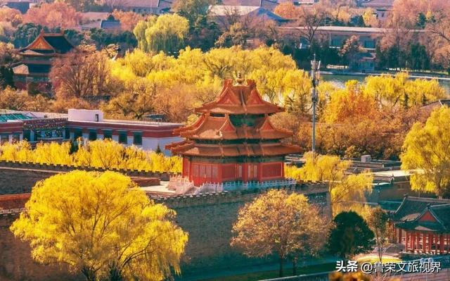 博物馆里的时光回响：藏在文物中的中国千年故事