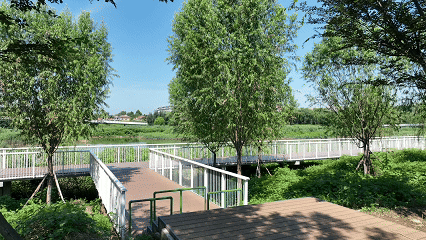 淄川这个公园正在“变身”，11月底等你来打卡！