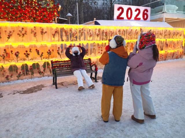 冰雪辽缘|雪落故乡，玫瑰、琴音唤远客