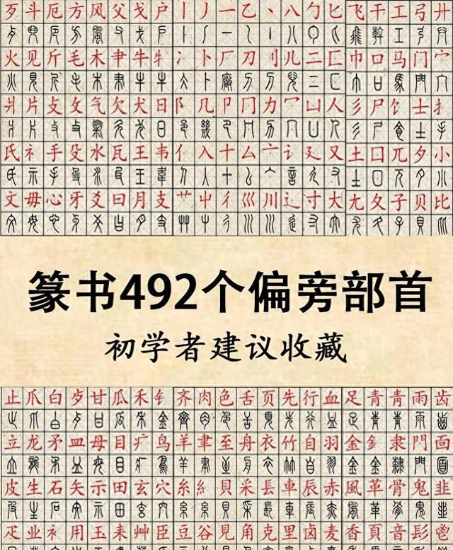 看的部首是什么（篆书入门必备492个偏旁部首）