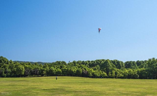 藏在金陵城东的1800亩绿野仙踪，我愿称之为南京人的“精神氧吧”