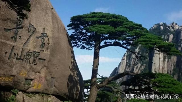 中国这15个地方，去过3个算你牛！去过5个，朋友圈可以横着走。