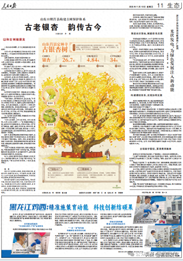 今天，人民日报点赞莒县！