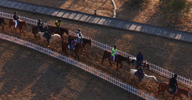 泰安汶河新区把文旅“冬资源”打造为消费“热引擎”