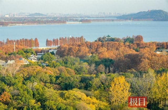 暖阳催彩叶，世界东湖初冬盛景已上线
