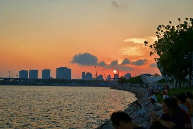 先锋在行动｜守护“一湾碧水” 让市民游玩体验更清新、更“出片”