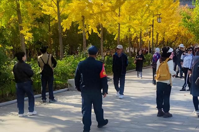 秋日景致引客来 兰州市金城公园迎秋游热潮