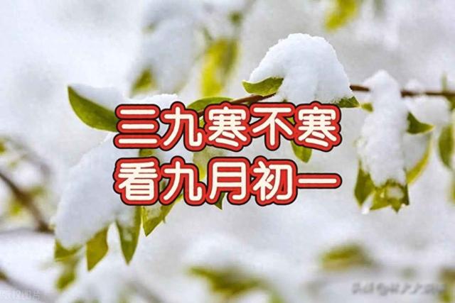三九寒不寒，看九月初一