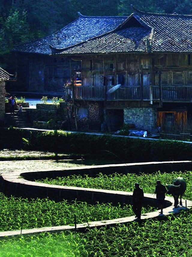 在土家十三寨，时间都慢了下来~