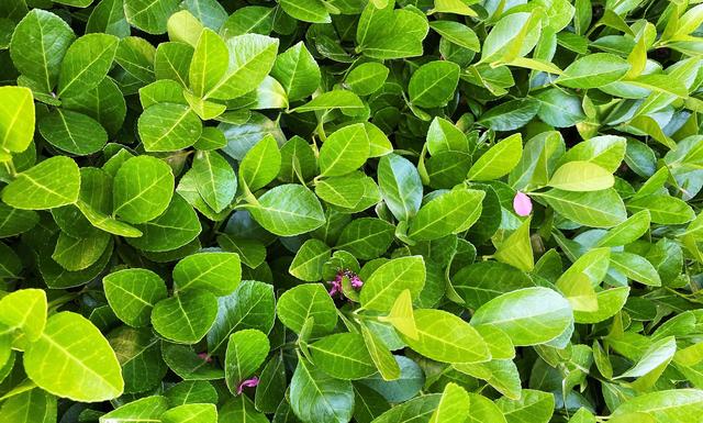 天宫上新，中国上心