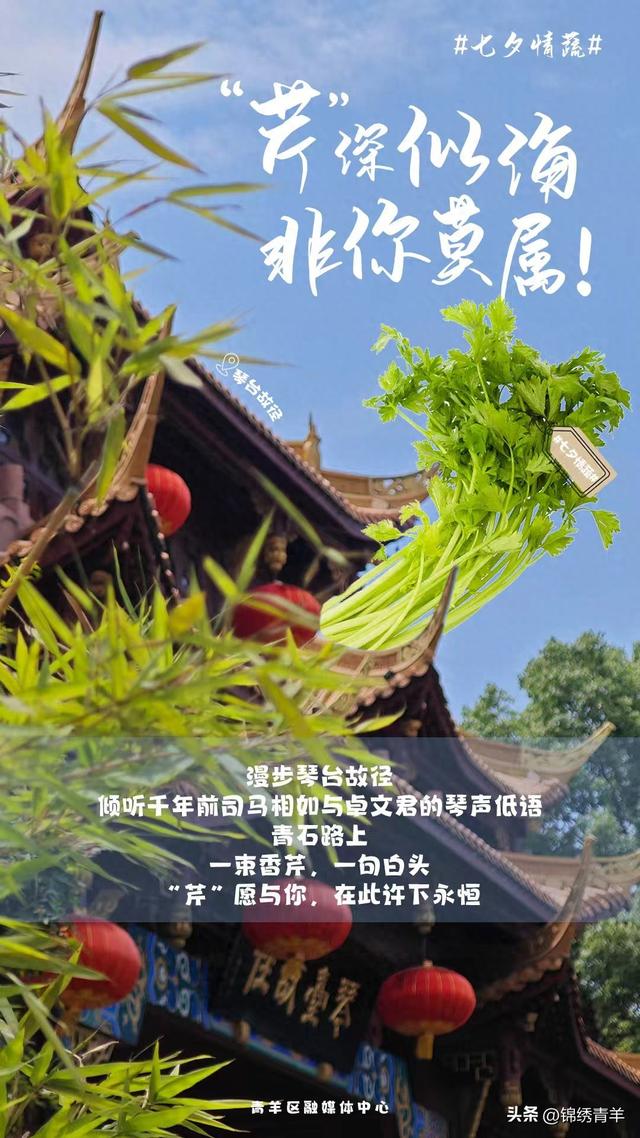 七夕来奔赴 青羊“小情蔬”