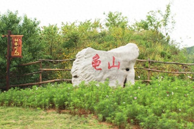 龟山村：千年水韵里的洪泽文旅密码