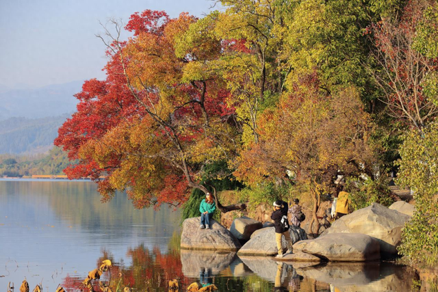 红了！越来越红了！