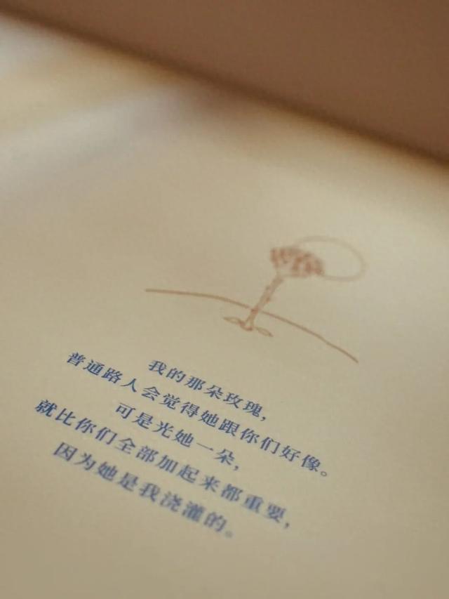 小王子的礼物｜送给心中独一无二的玫瑰
