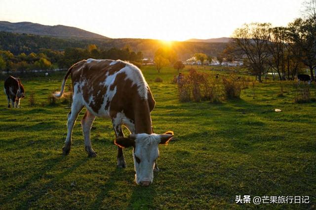 内蒙古与俄罗斯交界有个村庄，需报备才可进入，与世隔绝风景秀丽