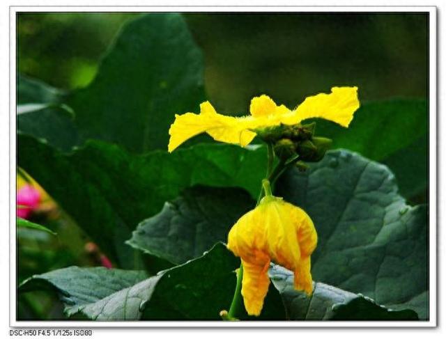 情感爆文《在感情的世界里，懂比爱重要》