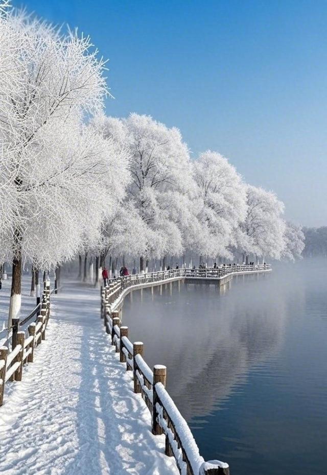 黄山雾凇正“开挂”！这份观赏攻略直接抄