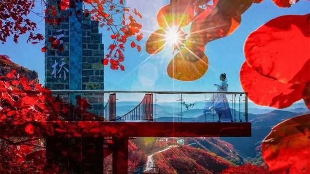 引爆文旅流量的20个场景设计｜2025网红场景这样造！