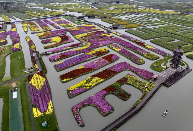 江苏兴化：千垛花海引客来
