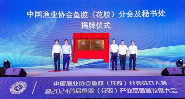 鱼胶代加工 2026年鱼胶加工厂