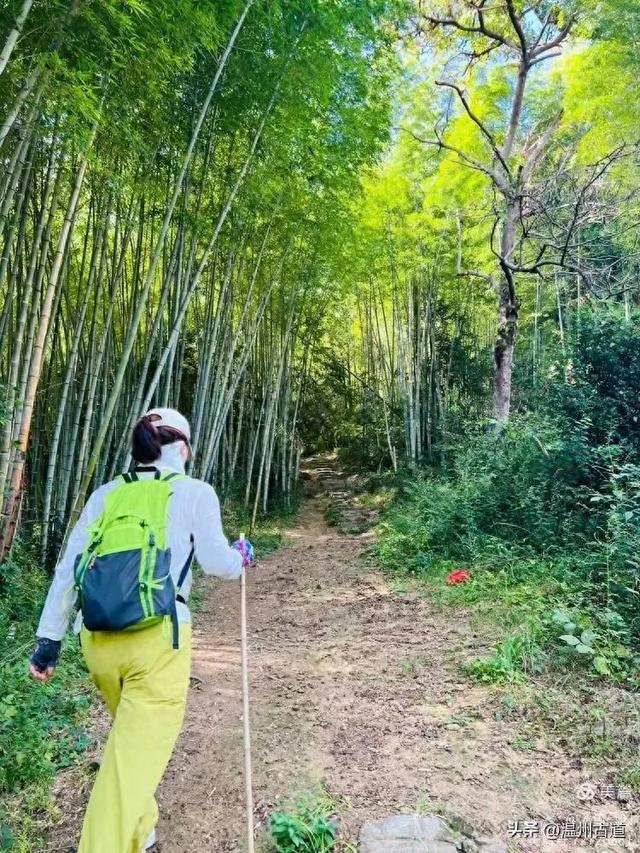 橙光村庄最新破解版（华东最后的香格里拉秘境仙居公盂岩徒步走起）