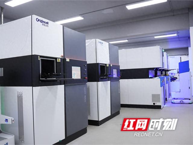 长沙“研”值⑯ | 锻造精准医学“尖兵”，筑梦全球研发高地