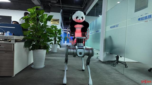 “Go Go”出发！“成都造”智能导览机器狗首秀成都世运村