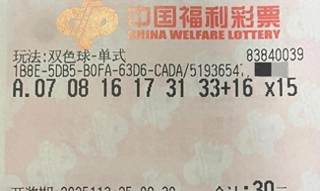 胆拖、倍投、机选全齐！从湾区到北京，从1到50倍，谁能笑到最后