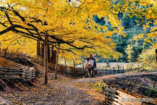 12月旅行别跟风，南方藏着晚秋绝景，北方不止追雪还有奇遇