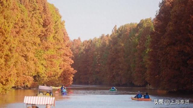 在海湾镇，遇见冬日的浪漫颜色