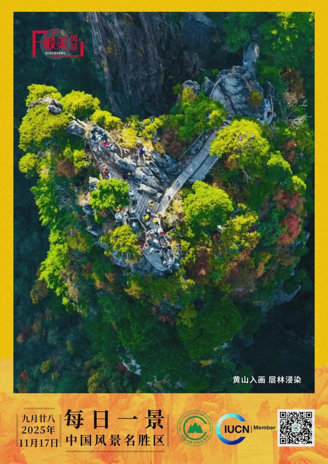 每日一景 | 黄山入画 层林浸染