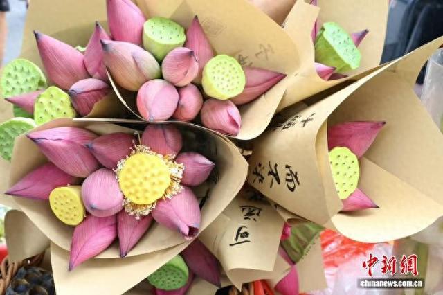杭州大马弄荷花摊走红：一把清荷藏古韵 街巷诗意染夏天
