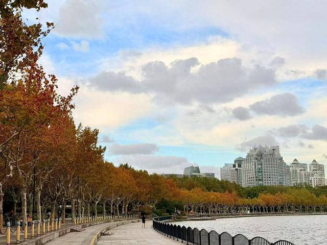 秋日游园氛围感拉满，世纪公园推出周末活动，打造多元体验场景