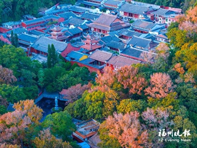 鼓岭缤纷赏叶季 观景乐游正当时