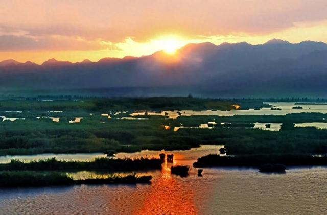 人这一辈子，一定要来宁夏见证“籽籽同心”的力量！