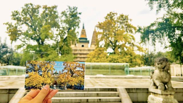 电子票之外，它们用特色门票为观众留存文博记忆