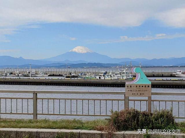 怀冰‖霜降镰仓与浅草搬家记