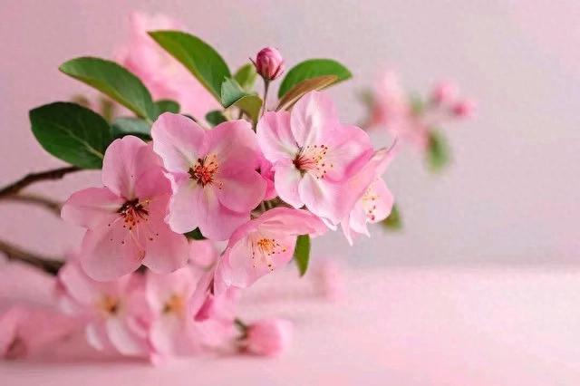 儿子订婚女方用验钞机点彩礼，我坚决取消订婚，女方道歉也不行