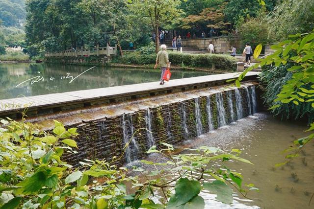贵阳市中心竟然藏着一座“野生猴山”？现在还是国家4A级旅游景区