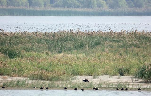 到了到了官方确认：已抵达杭州！
