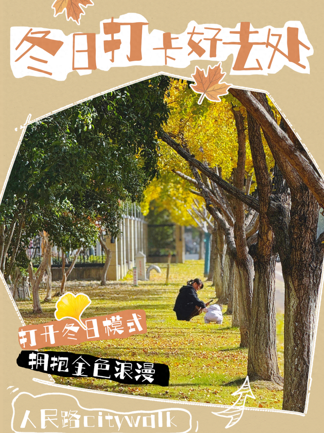 萧山街头又现新打卡地~这份初冬的浪漫将持续到年底