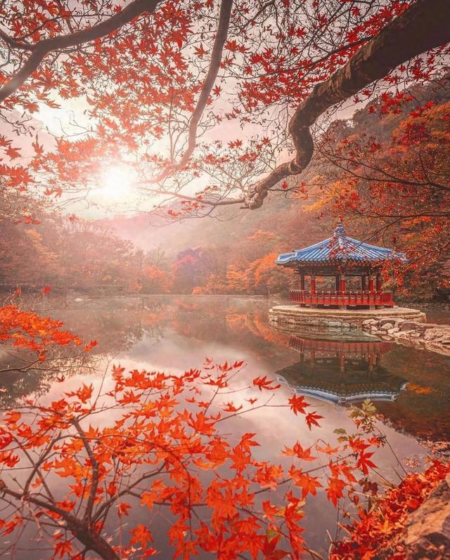 全球最迷人的秋景，简直太醉人了！