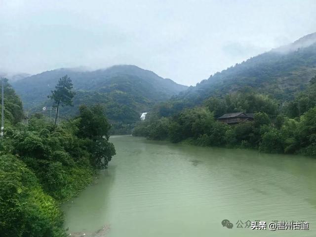 温州这个免门票的小众隐世宝地你可去过？