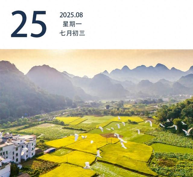 最低工资迎来“普调”，9月1日起执行｜早安广东