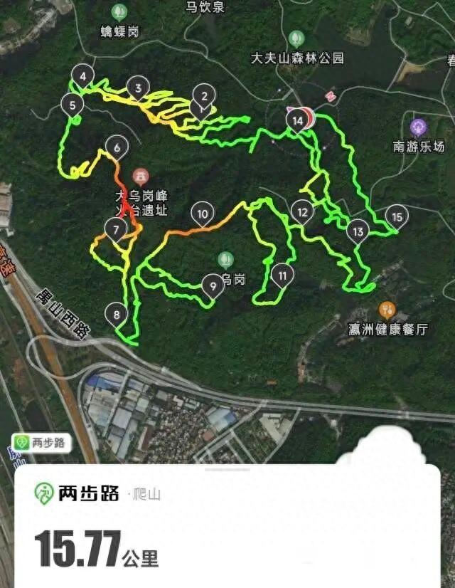 广州大夫山森林公园“画马”火爆，园方紧急叫停