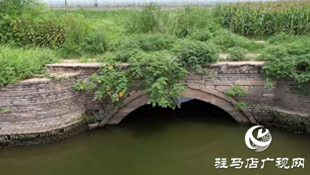 探访葛陵村：触摸千年文脉 守护历史遗产​