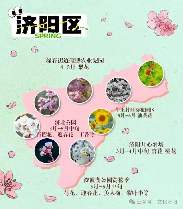 春日正好，来济阳赴一场黄河岸边的花事之约