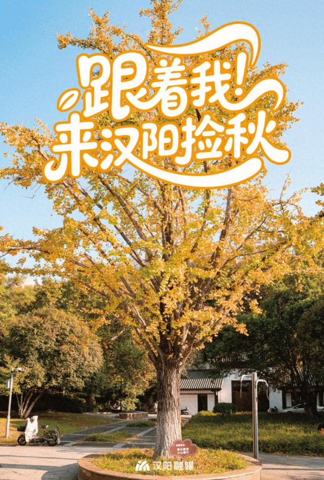 汉阳的秋天也太会了，“捡秋”比赏秋更上瘾